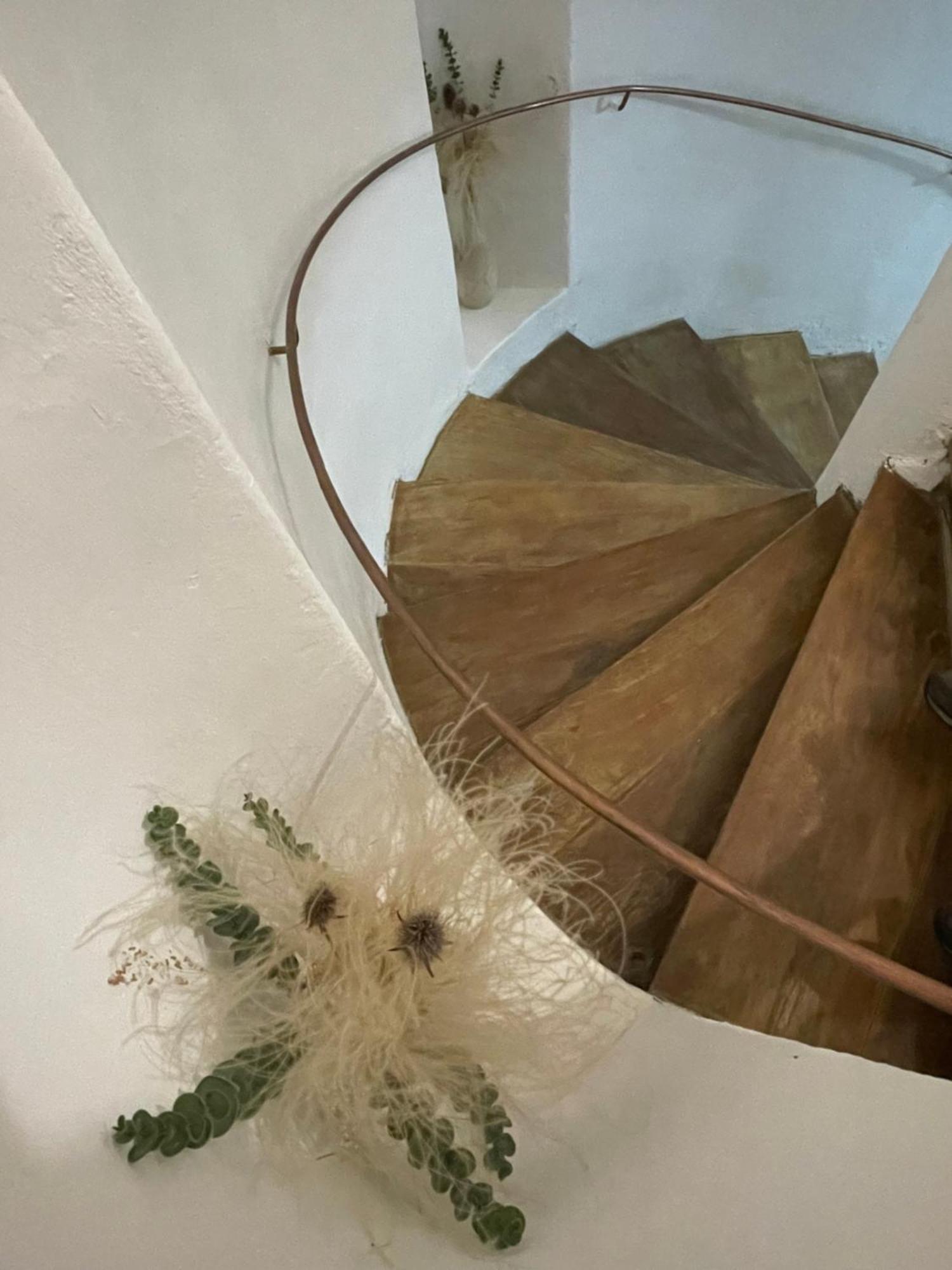 Cozy Stay Braşov Eksteriør bilde